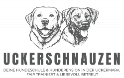Uckerschnauzen – Kundenreferenz aus Mecklenburg-Vorpommern Logo Uckerschnauzen – Referenzkunde aus Mecklenburg-Vorpommern