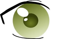 Augenarzt Rehfeldt - Webdesign Neubrandenburg LT web-solution